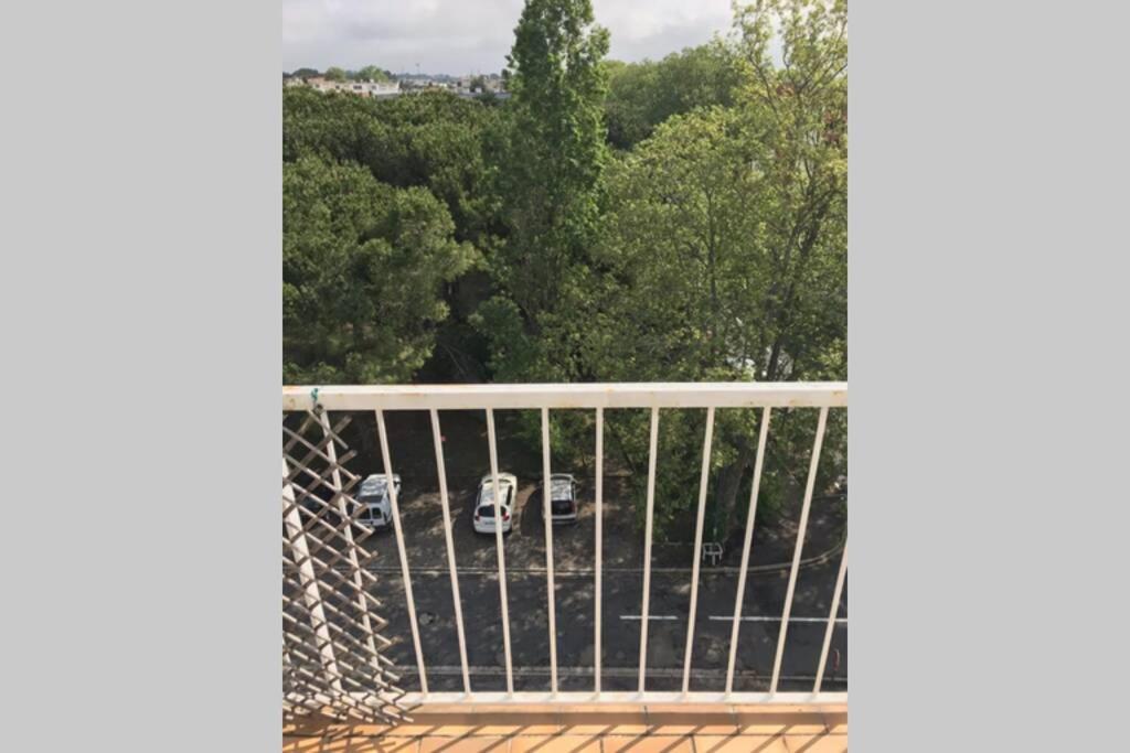 Bel Appartement Avec Vue Et Parking Prive Beziers Ngoại thất bức ảnh